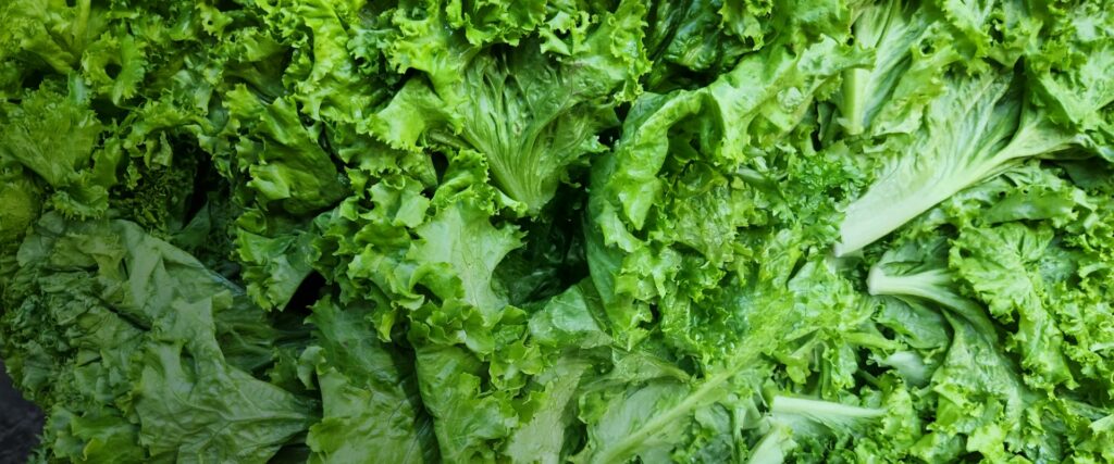 Our Market Header livfarms