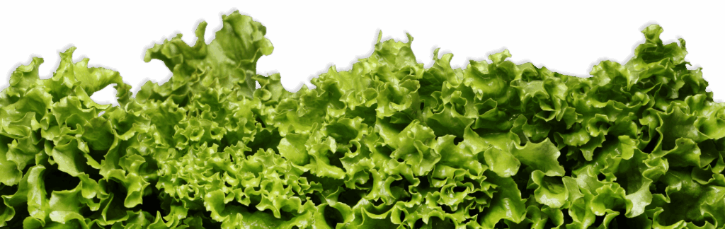 from scratch mobile header livfarms